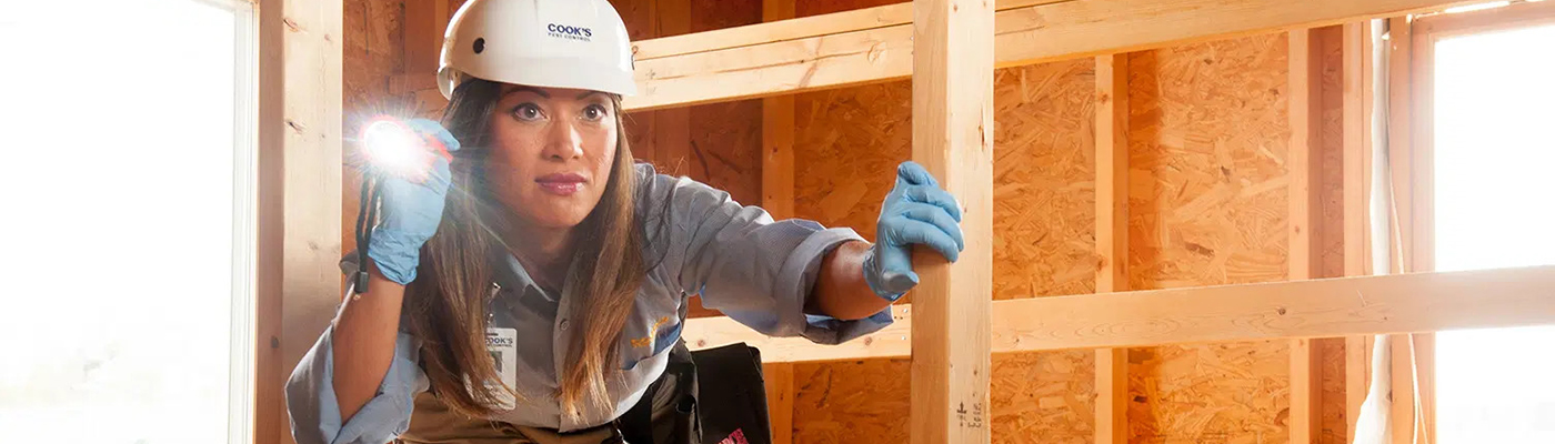 Attic Safety Tips: Check Before You Climb